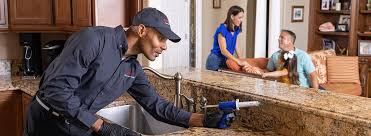 Best Residential Pest Control  in Ruston, LA